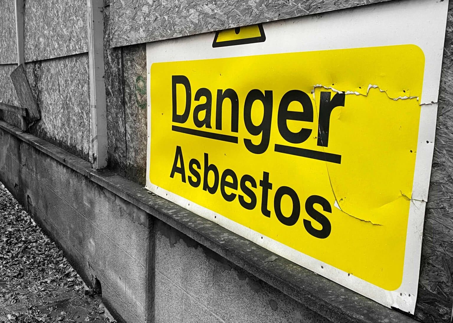 Mesothelioma-Asbestos-Danger in Seattle